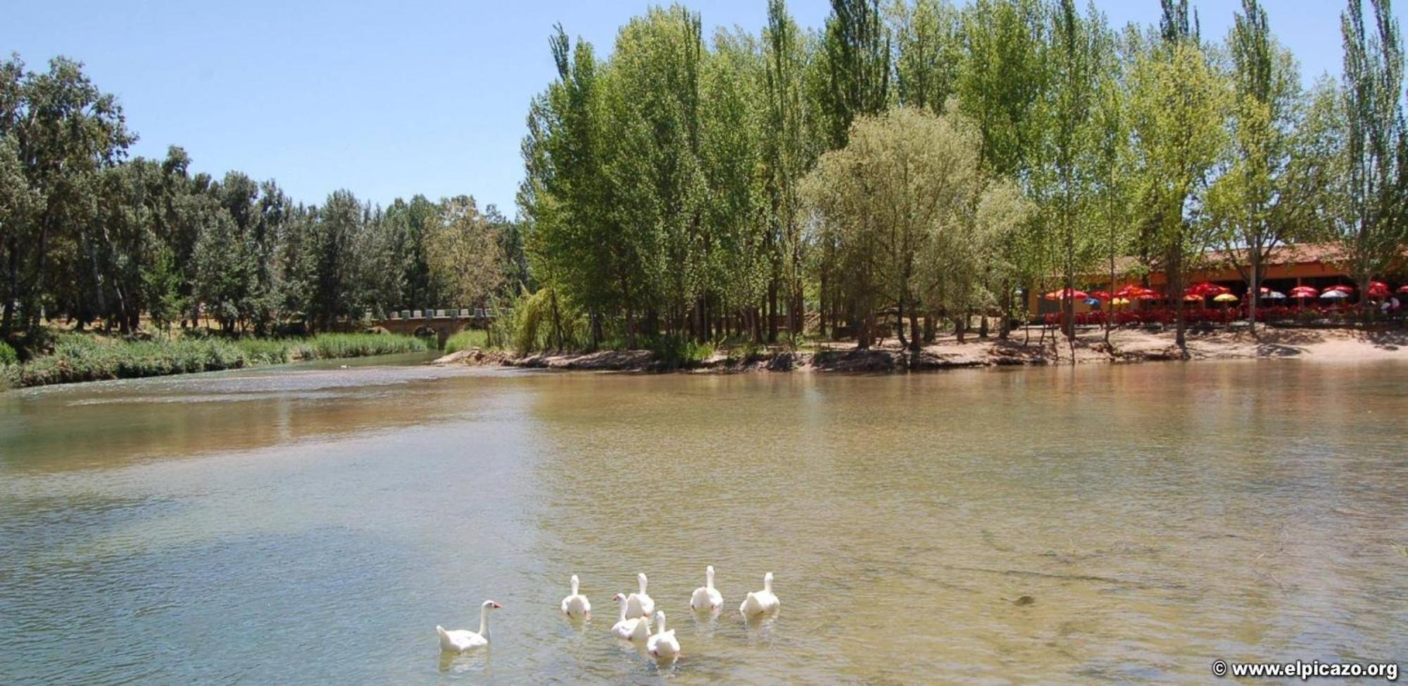Casa Rural Las Tejas El Picazo Eksteriør bilde